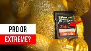 SanDisk Extreme Pro Review: Popular card in the Pro World