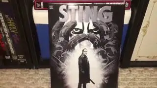 WWE Sting: Into The Light DVD Review