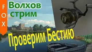 Волхов и Beluga Bestia 8000 как она? Русская рыбалка 4