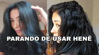 SAINDO DO HENÊ: MOSTREI COMO MEU CABELO FICOU | Quebra, transição, progressiva.