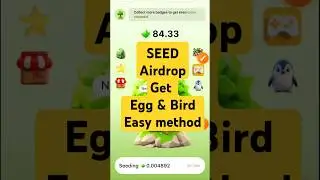 Seed egg collect | Seed egg hatching | Seed airdrop egg fusion | Seed airdrop update | Seed birds