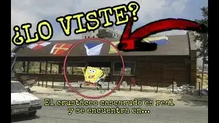 ÚLTIMO MOMENTO: El crustáceo cascarudo es real!