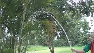 SlowMotion in FinalDigital1
