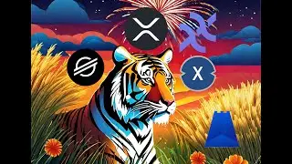 ON THE HUNT! $XRP $XLM $SHX $XX $XDC $XPX
