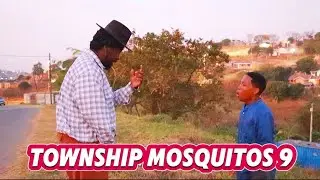 TOWNSHIP MOSQUITOS 9