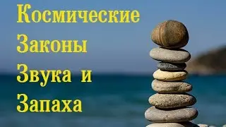 Космические Законы Звука и Запаха