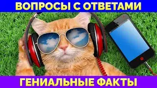 Узнайте Экстраординарные и Исключительные Факты | Викторина: 20 Вопросов с Ответами