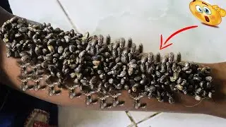 Easy way to Clean hand at home # 292