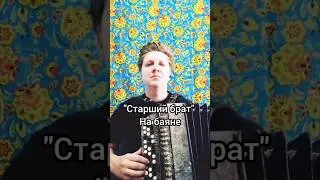 Старший брат - группа Краски, на баяне 