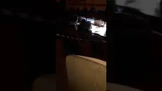 Международный конкурс 
