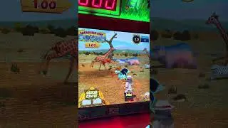 Watch and Learn - How to win Safari Bonus #shorts #arcade #bonus