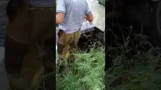 5 августа 2020 г.