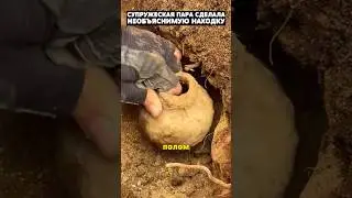Семья обнаружила под домом невероятные тайны