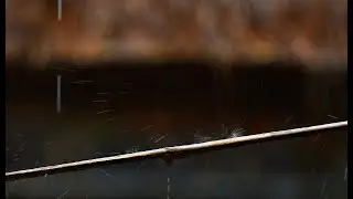 Rain falling on bamboo stick | Stress Relief, Deep Sleep, Meditation, Yoga