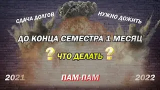 1 МЕСЯЦ ДО ЗАЧЁТНОЙ СЕСИИ | КАК ПРАВИЛЬНО РАСПРЕДЕЛИТЬ ВРЕМЯ? | МГУ | ГЕОЛОГИЧЕСКИЙ ФАКУЛЬТЕТ