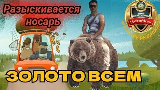 #рр4