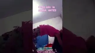 5 de abril de 2024