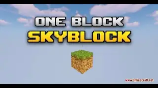 One Block Skyblock!