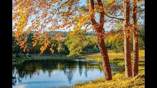 Romantisize Autumn