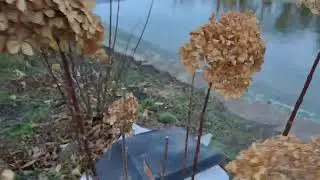 И пусть пасмурная погода,но в душе светит солнышко. Осеннее утро на хуторе.