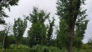 Некрасов Н.А. "Нравственный человек". (Живя согласно с строгою моралью..)