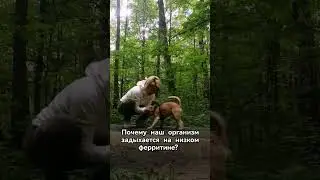 Почему наш организм задыхается на низком ферритине?