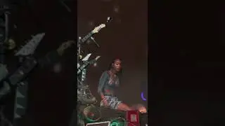 Willow Singing 