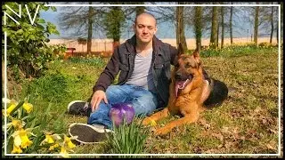 A Muddy Day Out With German Shepherd Puppy | NerdVlog