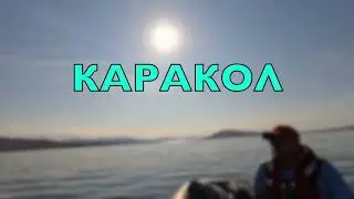 КАРАКОЛ