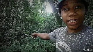 Encontrei  um caixão no meio da trilha da macumba 😲😲
