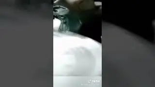 Говорящий ожереловый попугай Ричи
