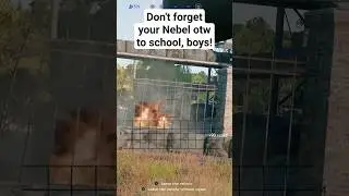 Lemme werf some Nebel 