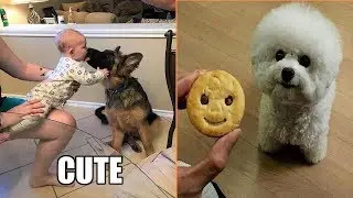 Cutest Puppies Ever That Will Make Your Day