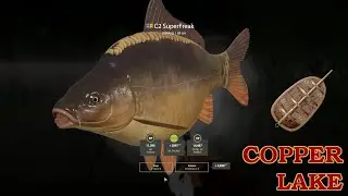 Method Feeder test | Russian Fishing 4 