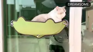 Гамак на стекло для кошек