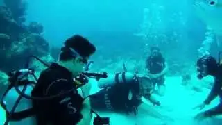 DivingSchool