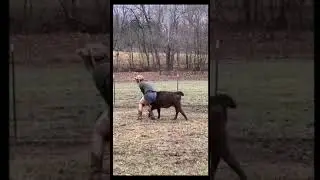 Part 3 | Epic Fail |New Funny Videos 2021 | Best Funny Fails | Bloopers and Funny Moments