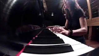Live in Brazil - Tool - Vicarious | Vkgoeswild piano cover