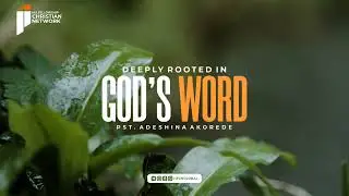 Rooted in God's Word || Pst Adeshina Akorede || Excerpt from HFCN Teachings