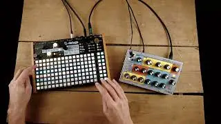 Synthstrom Deluge & Moog Sirin