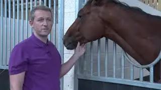 Paul Ferguson's Jumpers To Follow - Brewin'upastorm