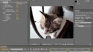 ADOBE AFTER EFFECTS: AFTER EFFECTS TUTORIAL FOR BEGINNERS || ADOBE AFTER EFFECTS CARTOON EFFECTS