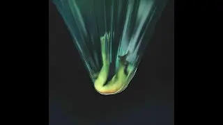 "WARDOG" - FREE SAMPLE PACK 2024 (Travis Scott, Utopia, Drake, Coop The Truth)