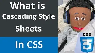 What is Cascading Style Sheets | CSS | css tutorial for beginners