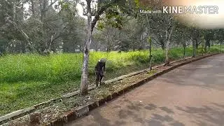 kebun durian terluas di Jabodetabek