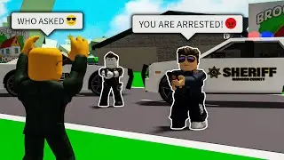 Book Robery FUNNY MOMENTS (Brookhaven 🏡RP) #2