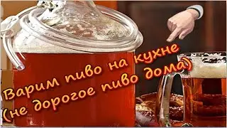Варим пиво на кухне.  Не дорогое пиво дома
