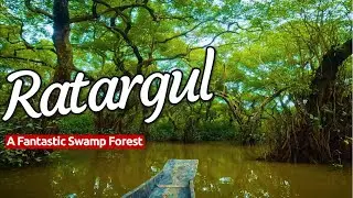 Ratargul | Swamp Forest | Tranquil Tour