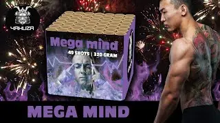 Mega mind - Yakuza - Lesli Vuurwerk