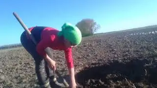 Працювати і в праці сконати
